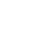 Icon Shield